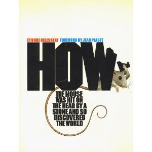 How the Mouse Was Hit on the Head by a Stone and So Discovered the World (Hardcover)