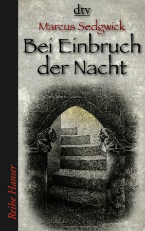Bei Einbruch der Nacht (Book of Dead Days, #2)