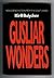 Gusliar Wonders