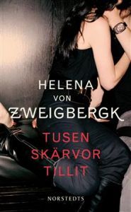 Tusen skärvor tillit (Paperback)