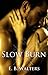 Slow Burn (The Fitzgerald Family, #1)