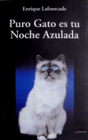 Puro gato es tu noche azulada