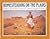 Homesteading on the Plains:...