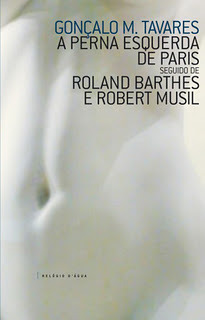 A Perna Esquerda de Paris seguido de Roland Barthes e Robert Musil (Paperback)