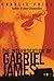 The Interrogation of Gabriel James