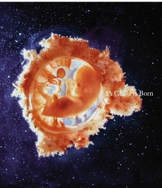 A Child is Born [Nov 23, 2009] Nilsson, Lennart