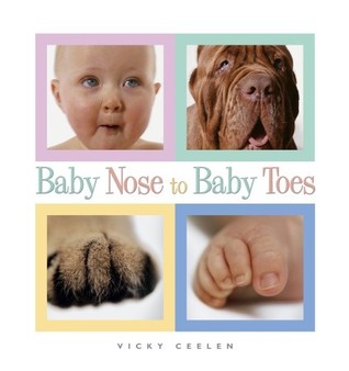 Baby Nose to Baby Toes (Board Book)