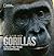 Face to Face With Gorillas
