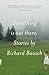 Something Is Out There: Stories (Vintage Contemporaries)