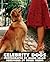 Celebrity Dogs