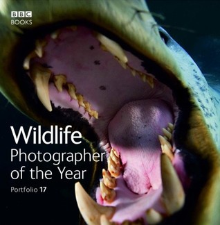 Wildlife Photographer of the Year: Portfolio 17 (Hardcover)
