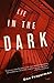 Lie in the Dark (Vintage Crime/Black Lizard)
