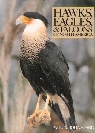 Hawks, Eagles, and Falcons of North America: Biology and Natural History