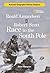Roald Amundsen and Robert Scott Race to the South Pole (History Chapters)