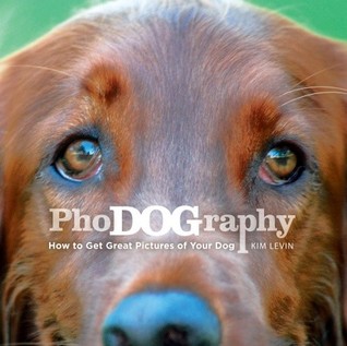 PhoDOGraphy: How to Get Great Pictures of Your Dog (Paperback)