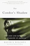 The Condor's Shad...