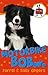 Motorbike Bob (Pet Vet, #3)