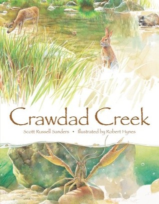 Crawdad Creek (Paperback)