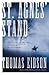 St. Agnes' Stand: A Novel