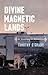 Divine Magnetic Lands: A Journey in America