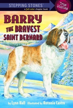 Barry: The Bravest Saint Bernard (Paperback)