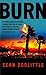 Burn by Sean Doolittle