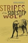 Stripes of the Sidestep Wolf