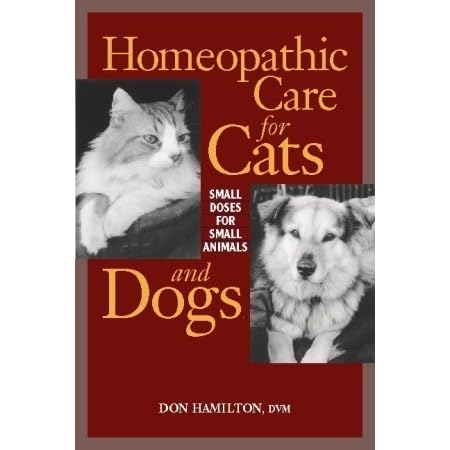 homeopathic care for cats and dogs