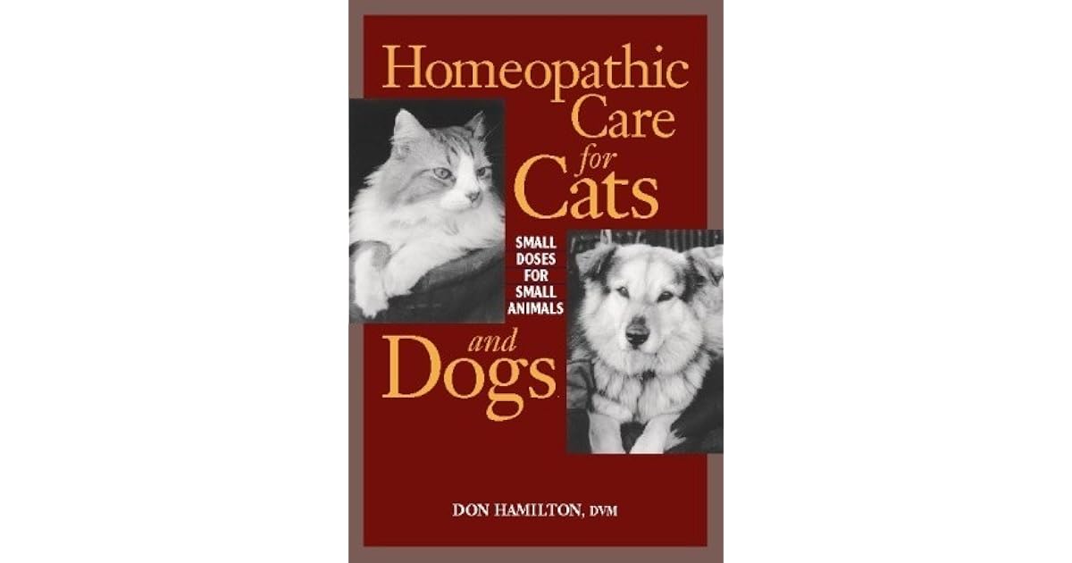 homeopathic care for cats and dogs