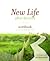 New Life After Divorce Workbook: The Promise of Hope Beyond the Pain (Workbook)