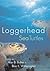 Loggerhead Sea Turtles