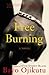Free Burning by Bayo Ojikutu Free Burning by Bayo Ojikutu