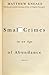 Small Crimes in an Age of Abundance by Matthew Kneale