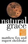 Natural Grace: Dialogues on Creation, Darkness, and the Soul in Spirituality and Science