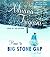 Home to Big Stone Gap by Adriana Trigiani