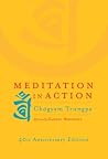 Meditation in Act...