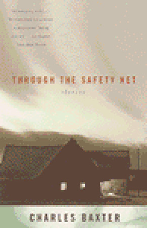 Through the Safety Net (Paperback)