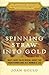 Spinning Straw into Gold: W...