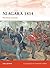 Niagara 1814: The final invasion (Campaign, 209)