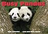 Busy Pandas by John Schindel