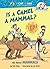 Is a Camel a Mammal? (Cat in the Hat's Learning Library)