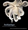 Archipelago by David Liittschwager Archipelago by David Liittschwager