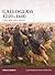 Galloglass 1250 – 1600: Gaelic Mercenary Warrior