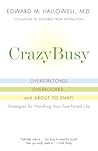 CrazyBusy: Overst...