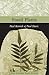 Fossil Plants by Paul Kenrick