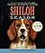 Shiloh Season
