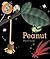 Peanut