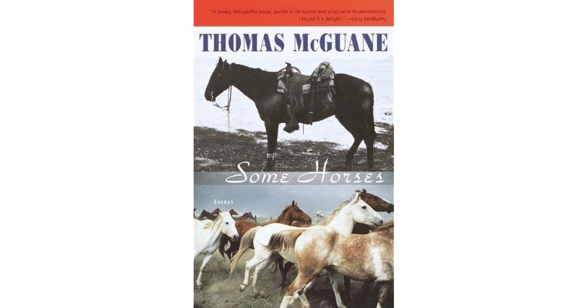 Horse essay for class 3 image