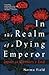 In the Realm of a Dying Emp...
