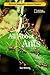 Science Chapters: All About Ants